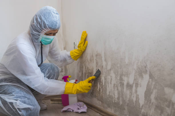Water Damage Restoration in Goldstream, AK