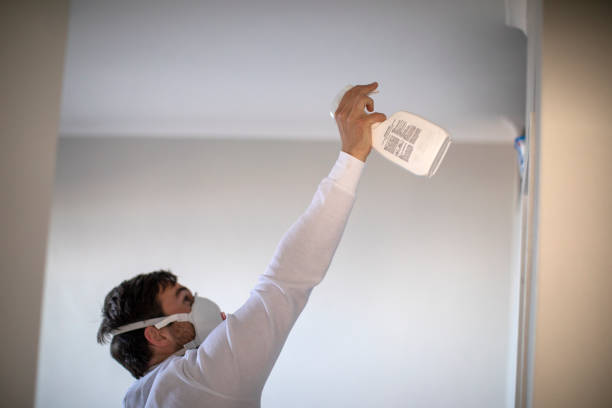 Best Residential Mold Removal  in Goldstream, AK