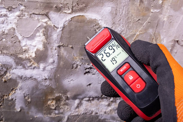 Best Best Mold Removal Companies  in Goldstream, AK