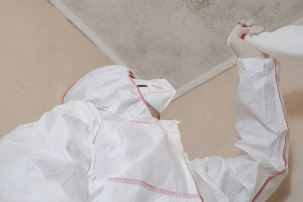 Best Fast Mold Removal  in Goldstream, AK
